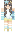 skin of a player
