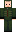 skin of a player