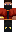 skin of a player