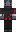 skin of a player
