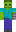skin of a player