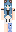 skin of a player