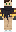 skin of a player