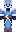 skin of a player