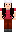 skin of a player