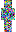 skin of a player