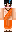 skin of a player
