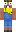skin of a player