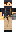 skin of a player
