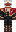 skin of a player