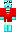 skin of a player