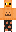 skin of a player