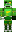 skin of a player