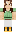 skin of a player