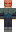 skin of a player