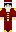 skin of a player