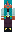 skin of a player