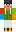 skin of a player