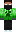 skin of a player