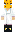 skin of a player
