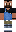 skin of a player