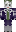 skin of a player