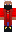 skin of a player