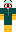 skin of a player