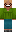 skin of a player