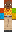 skin of a player