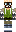 skin of a player