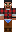 skin of a player