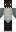 skin of a player