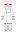 skin of a player