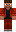 skin of a player