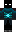 skin of a player