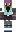 skin of a player