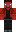 skin of a player
