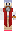 skin of a player