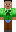 skin of a player