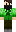 skin of a player