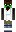 skin of a player