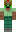 skin of a player