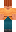 skin of a player