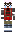 skin of a player