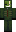 skin of a player