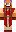 skin of a player