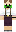 skin of a player