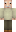skin of a player