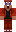 skin of a player